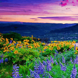 com.utech.hdwallpapersoffline