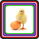 com.cultivationoflayinghens.akiraapp