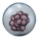 com.microbe