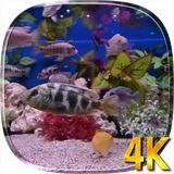 com.credianz.aquarium4k