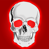 com.Infinity.skull