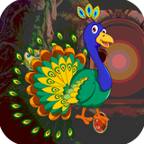 air.com.kavigames.KaviEscapeGame545PeafowlRescueGame