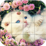 com.tamco.cats