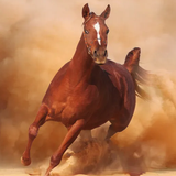 com.laugh.horse.run