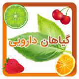 com.topdevelopers.mvehha