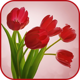 com.happysun.goodmorningpics2
