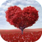com.sra_tx.eshgh