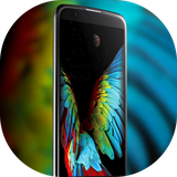 wkt.LG.K10.V30Plus.Q8.Q6Plus.XVenture.Wallpaper.Theme.Launcher