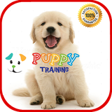 com.gatoapps.puppytraining