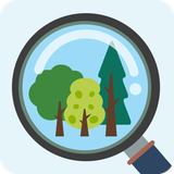 com.tfs.treeid