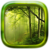 com.oaisy.puzzle.forest