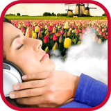 ir.tinasoft.dutch_in_sleep_s