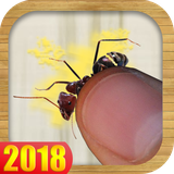 com.bestgames.antsmasher