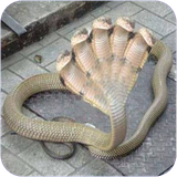 chetor.hevanateajebolkhelghe