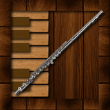 tr.com.alyaka.alper.professionalflute