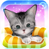 jp.pascal.cat