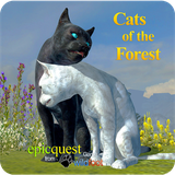 com.cat.forest