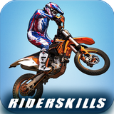 com.zigagames.freeride.riderskills