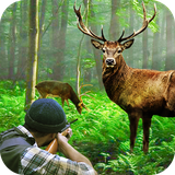 com.alphakeet.wild.hunter.classic.deer.hunt