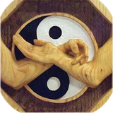 com.havinapp.wingchundummy