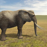 com.terminator.AngryElephant