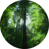 com.jungle.abr.abrjungle