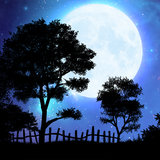 com.driftwood.wallpaper.nightfall.free
