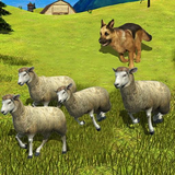 com.sbg.herding.dog
