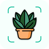 com.idea.newdev