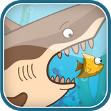 com.zima.flshark
