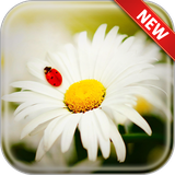 com.andromo.dev518376.app501039