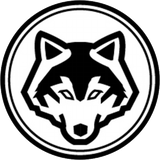 wolf.mgh.app