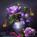 com.dakshapps.butterfiespot