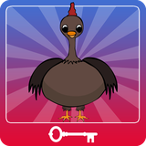 air.mwe.turkeyescape