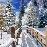 com.blackbirdwallpapers.winterlandscapes