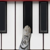 com.dbd.catpiano