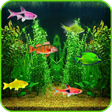 com.idealappo.Aquarium.live.wallpaper