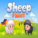 sheep.fight16