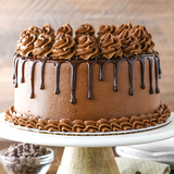 kar.cakelaziz.kobrarost