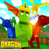 com.Mod.Minecraft.MCPE.RientaWorks.HTTYD