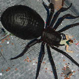 com.hgamesartworks.spiderhunter