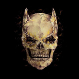 com.Infinity.skull