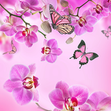 com.PinkFlowersLiveWallpaperHQ