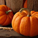 com.Infinity.pumpkin