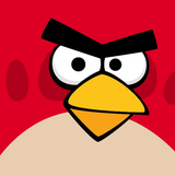 com.fly.angrybird