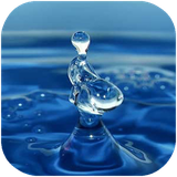 didar.abshenasi