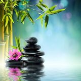 com.free.relaxingmusic