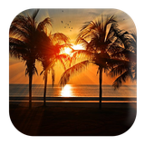 com.kikaapps.seaside.sounds.waves