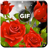 com.spapian.rosegif