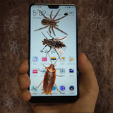 com.zh.cockroach
